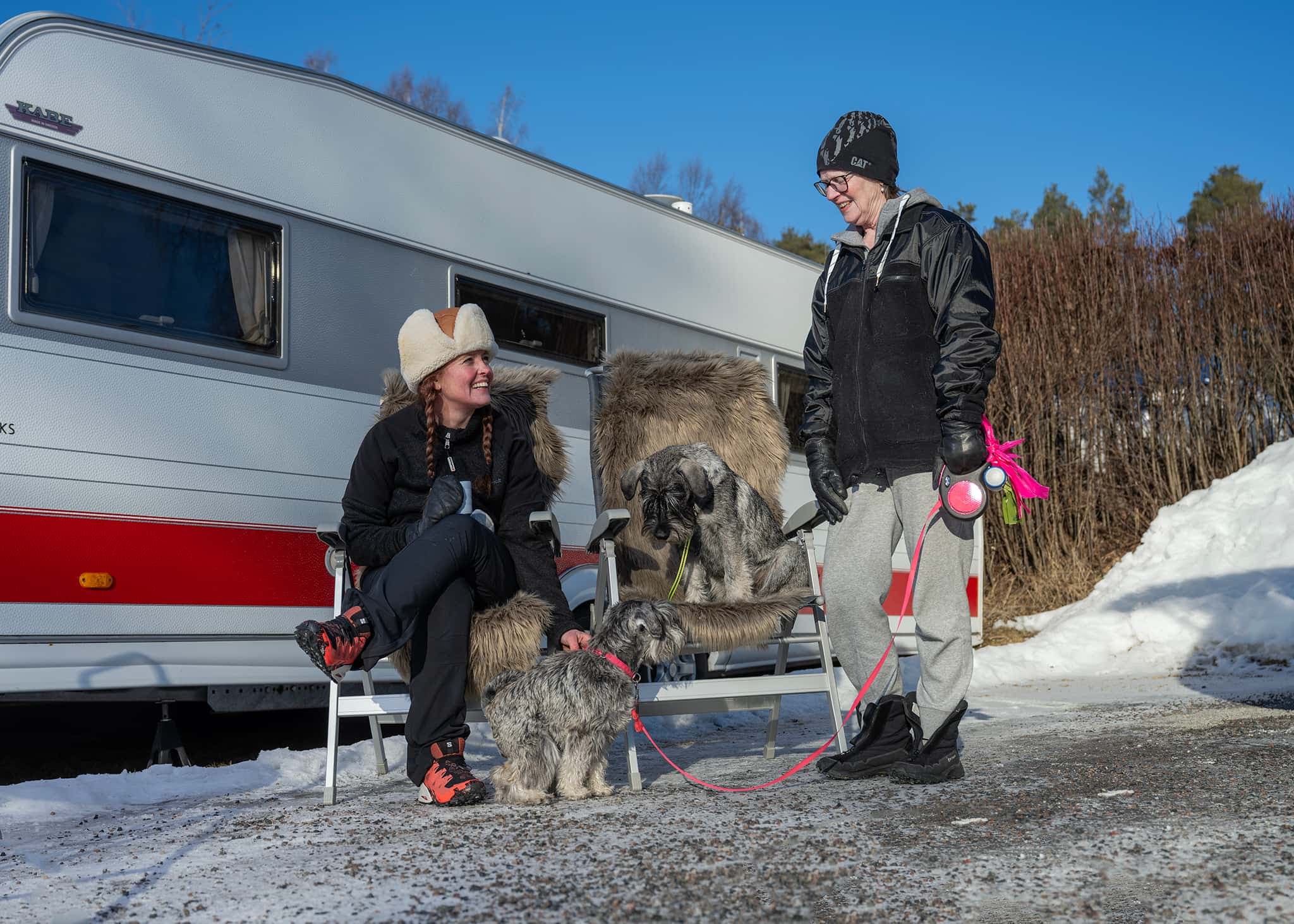 Hund och ägare på vinterpromenad vid First Camp Lugnet - Falun